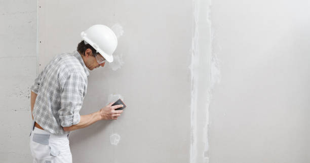 Best Drywall Crack Repair  in Fowler, IN